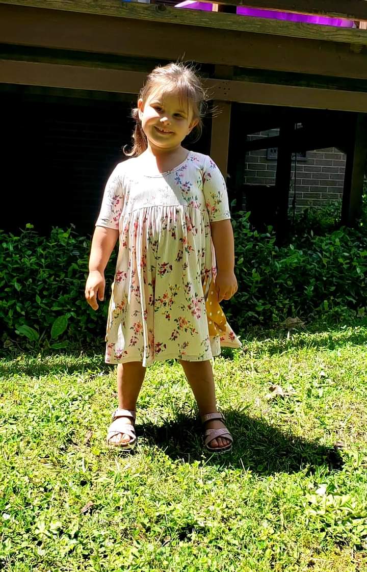 Lily Pocket Dress